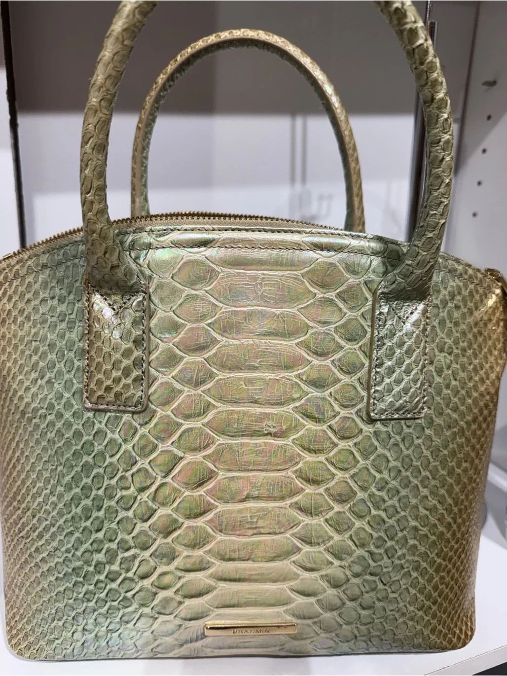 Brahmin Metallic Green Python-Embossed Satchel